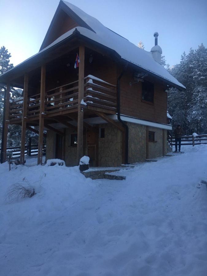 Apartmani Tornik-Planinska Kuca Zdravkovic Dobroselica Exterior photo