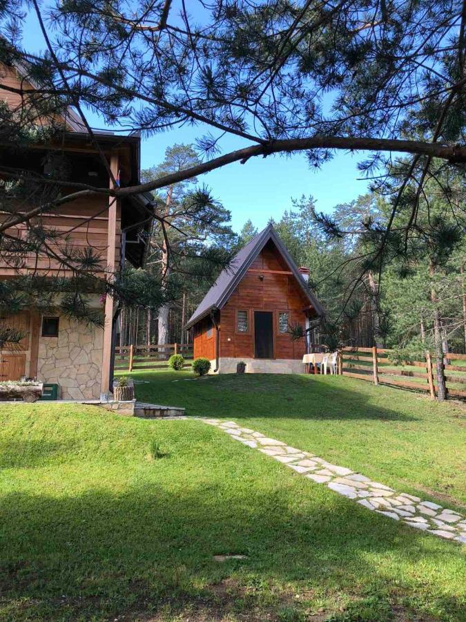 Apartmani Tornik-Planinska Kuca Zdravkovic Dobroselica Exterior photo