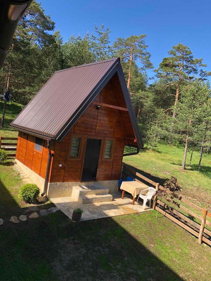 Apartmani Tornik-Planinska Kuca Zdravkovic Dobroselica Exterior photo